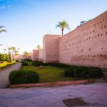 תרגום מקצועי עבור השבת רכוש מארצות ערב – מדריך כללי