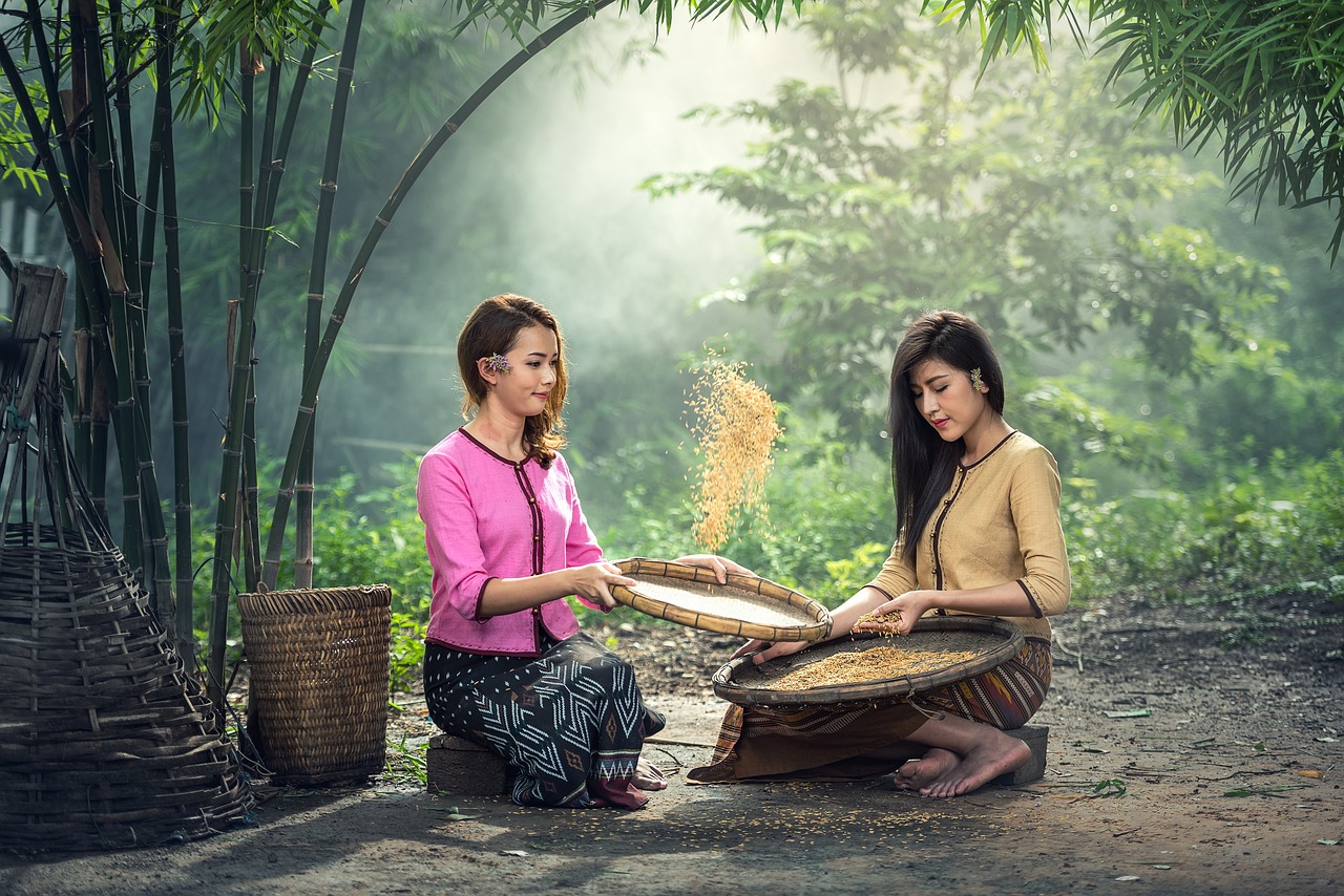 2 בנות בשדה אורז במיאנמר (בורמה)