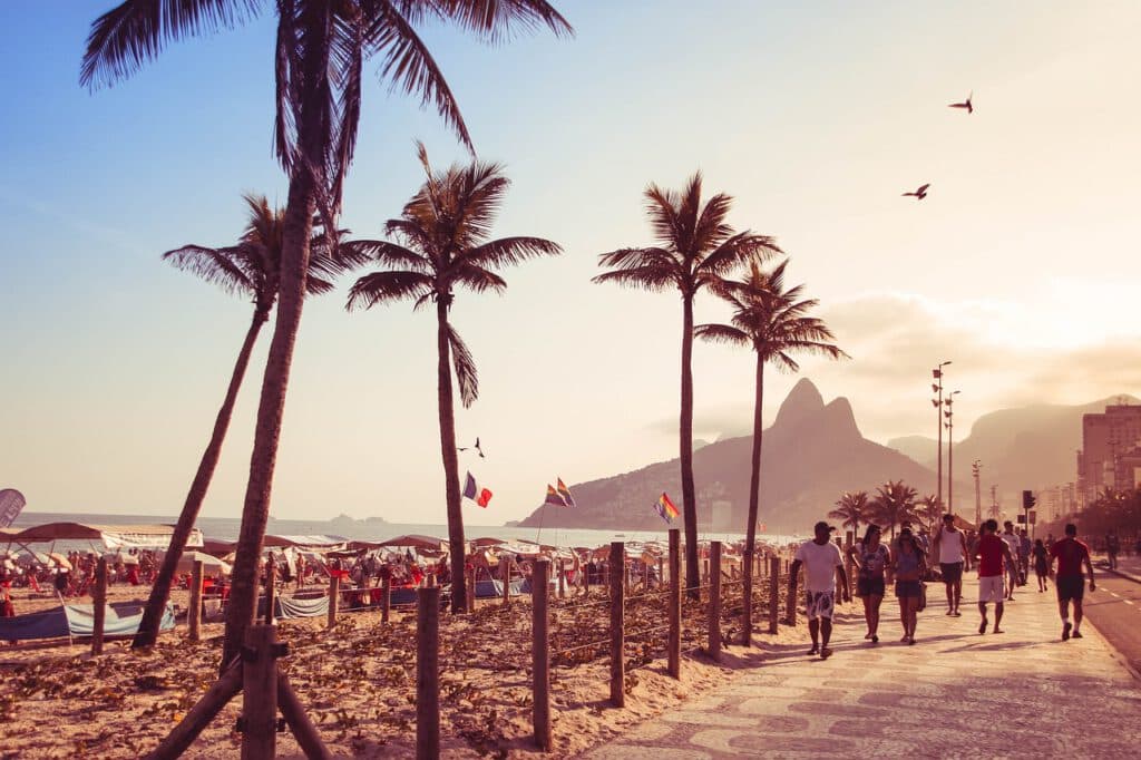 שדרת דקלים בחוף, ריו דה ז'נרו, ברזיל